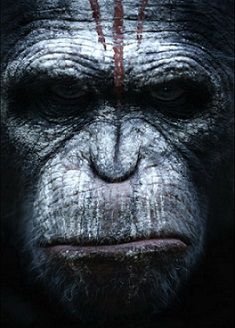 Планета обезьян 2: Революция (2014) смотреть фильм онлайн