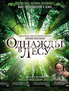 Однажды в лесу (2014) смотреть фильм онлайн